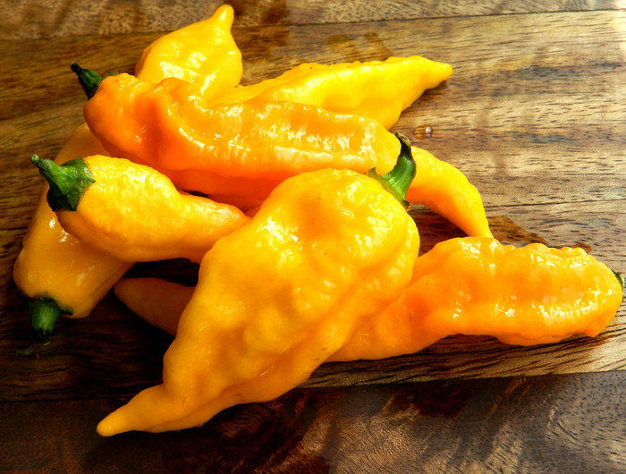 Bhut yellow chilli