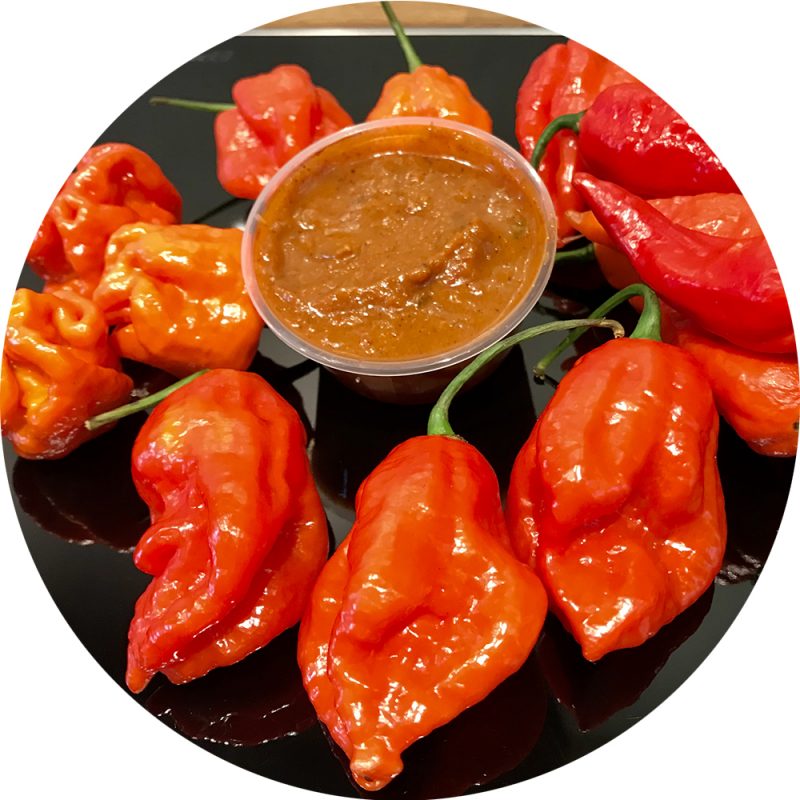 Small Pot of Phall Curry Sauce (V) (GF) (DF) - Devon Chilliman